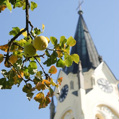 Evangelische Pfarrgemeinde A.B. Thening